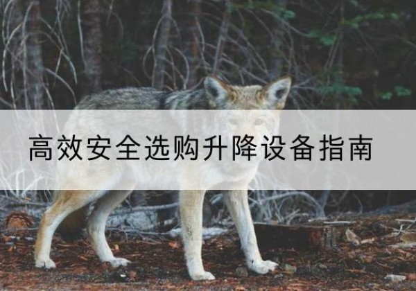 盐田升降货梯厂家推荐-*安全选购升降设备指南