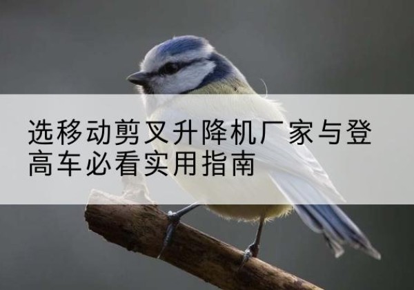 盐田电动升降机厂家-选移动剪叉升降机厂家与登高车必看实用指南