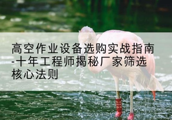 盐田剪叉式升降机厂家-高空作业设备选购实战指南-十年工程师揭秘厂家筛选核心法则