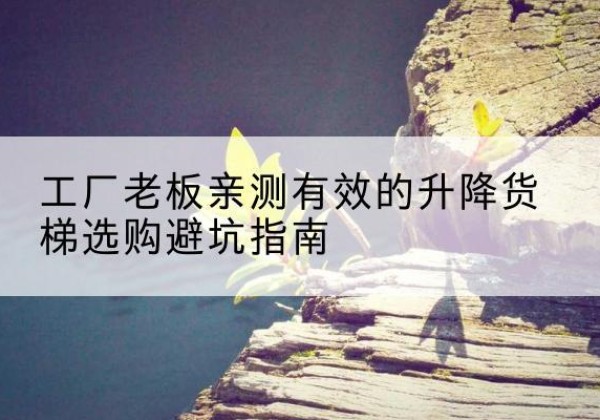 盐田升降货梯怎么选-工厂老板亲测有效的升降货梯选购避坑指南